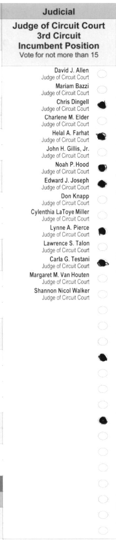 Primary-style BMD ballot example 14